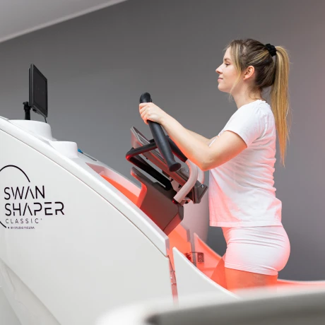 swan shaper